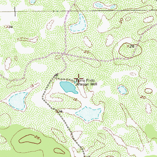 Topographic Map of Burro Pinto Artesian Well, TX