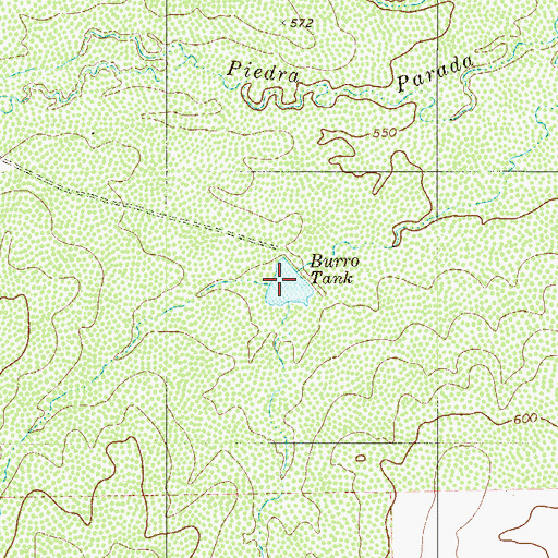 Topographic Map of Burro Tank, TX