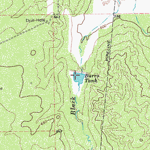 Topographic Map of Burro Tank, TX