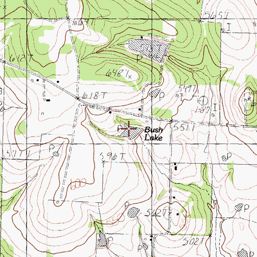 Topographic Map of Bush Lake, TX