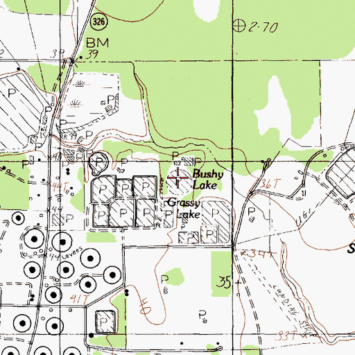 Topographic Map of Bushy Lake, TX
