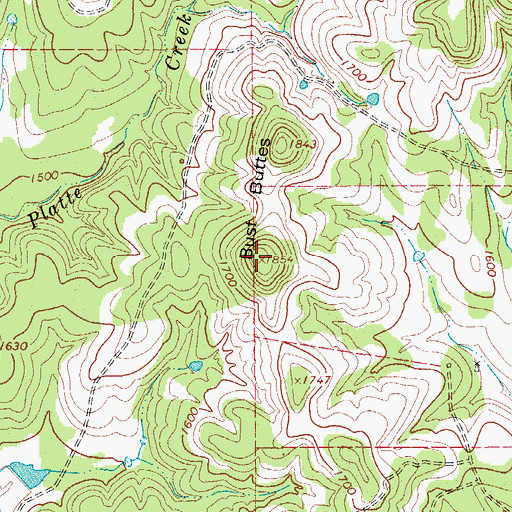 Topographic Map of Bust Buttes, TX