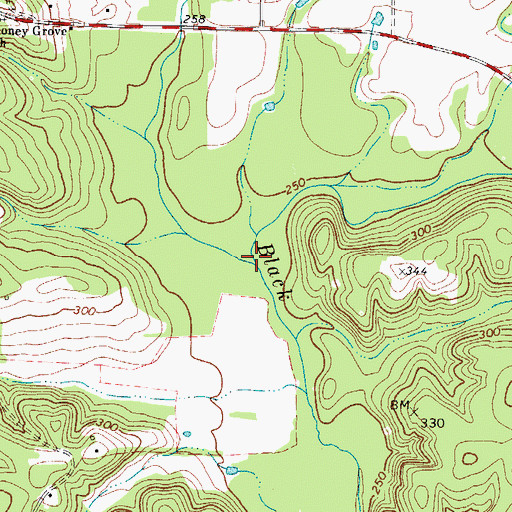 Topographic Map of Butler Creek, TX