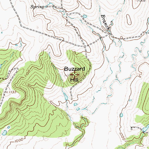 Topographic Map of Buzzard Hill, TX