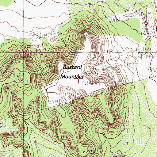 Topographic Map of Buzzard Mountain, TX