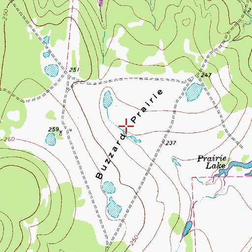 Topographic Map of Buzzard Prairie, TX