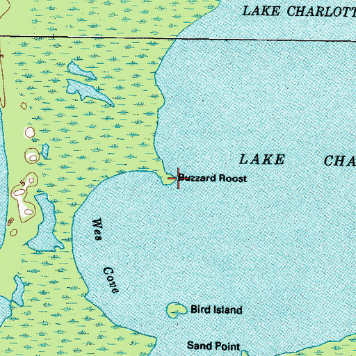 Topographic Map of Buzzard Roost, TX