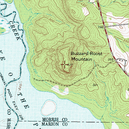 Topographic Map of Buzzard Roost Mountain, TX