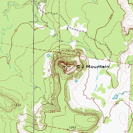 Topographic Map of C J Mountain, TX
