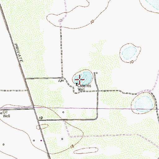 Topographic Map of Cabellos Well, TX