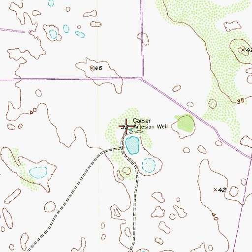 Topographic Map of Caesar Artesian Well, TX