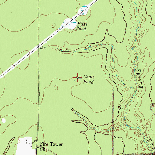 Topographic Map of Cagle Pond, TX