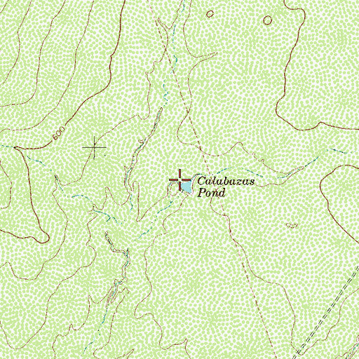 Topographic Map of Calabazas Pond, TX