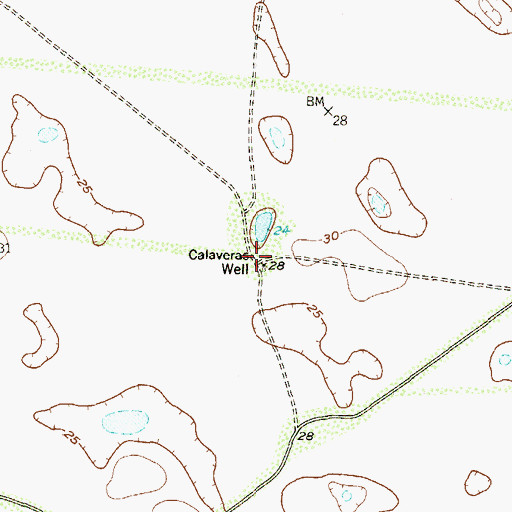 Topographic Map of Calaveras Well, TX