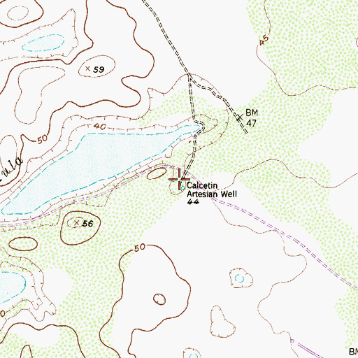 Topographic Map of Calcetin Artesian Well, TX