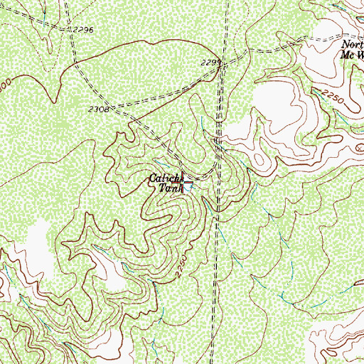 Topographic Map of Caliche Tank, TX