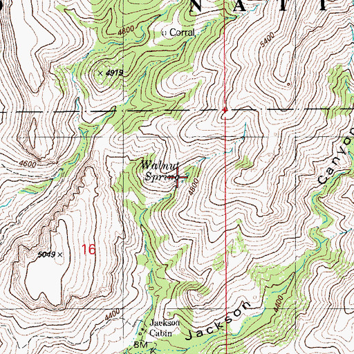 Topographic Map of Walnut Spring, AZ