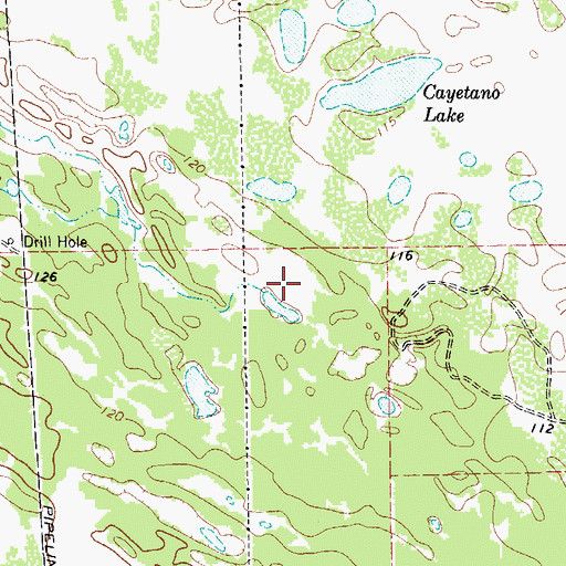 Topographic Map of Calosa Creek, TX