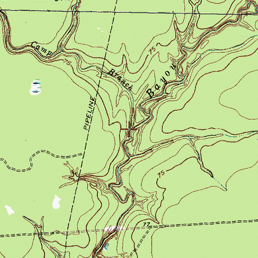 Topographic Map of Camp Branch, TX
