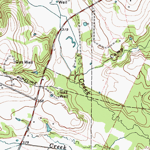 Topographic Map of Camp Branch, TX