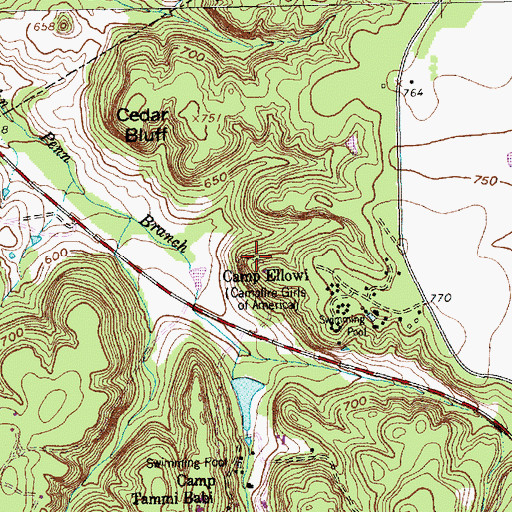 Topographic Map of Camp Ellowi, TX