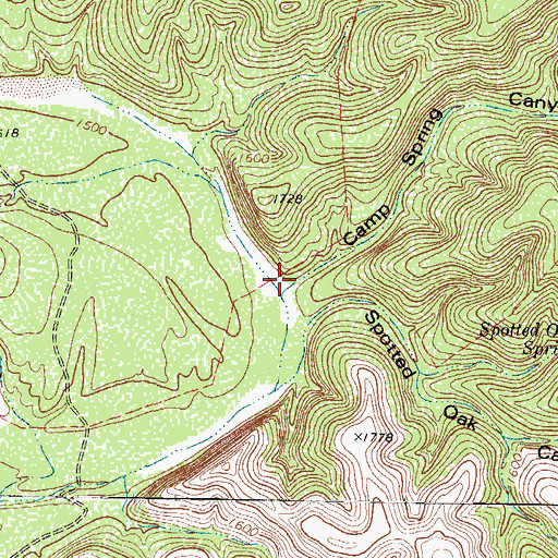 Topographic Map of Camp Spring Canyon, TX