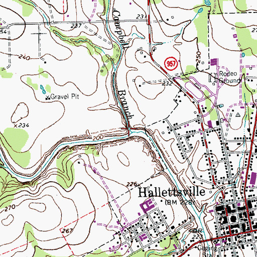 Topographic Map of Campbell Branch, TX