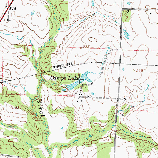 Topographic Map of Camps Lake, TX