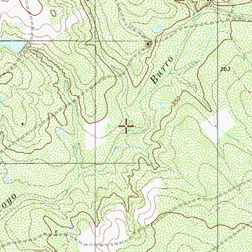 Topographic Map of Caada Rosias, TX