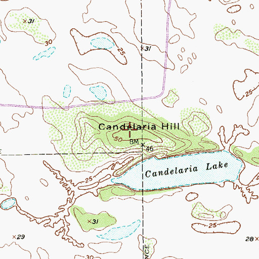 Topographic Map of Candelaria Hill, TX