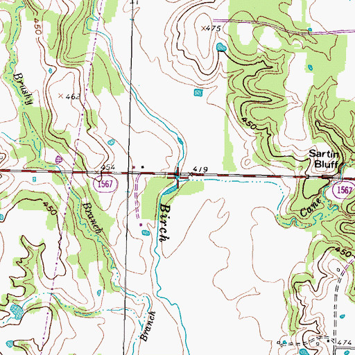Topographic Map of Cane Branch, TX