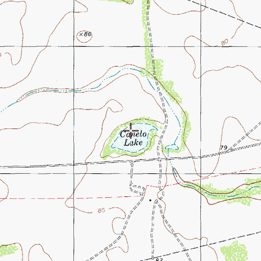 Topographic Map of Canelo Lake, TX