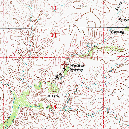 Topographic Map of Walnut Spring, AZ