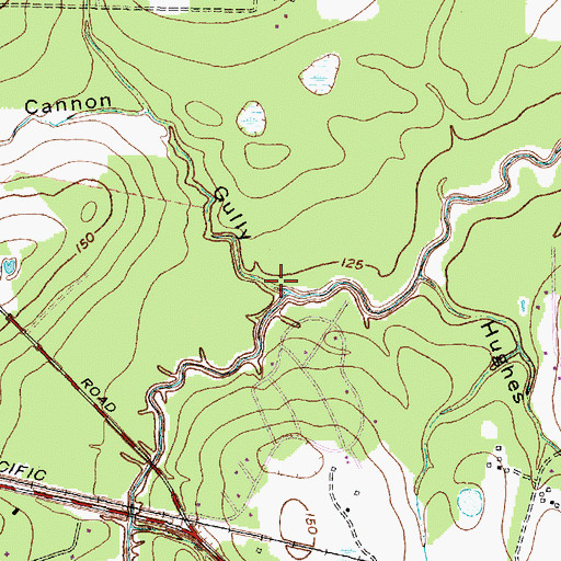 Topographic Map of Cannon Gully, TX