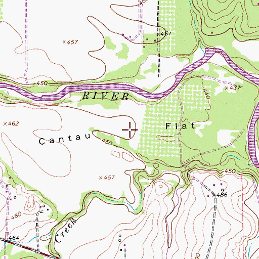 Topographic Map of Cantau Flat, TX