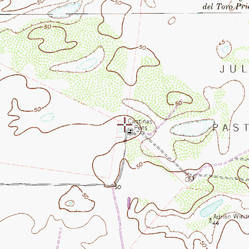 Topographic Map of Cantinas Pens, TX