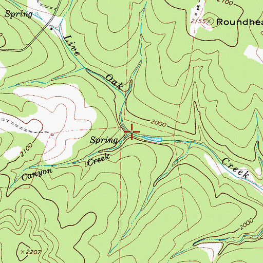 Topographic Map of Canyon Creek, TX