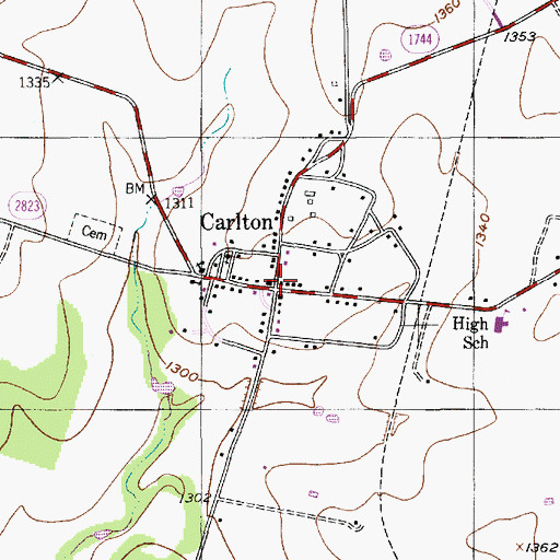 Topographic Map of Carlton, TX