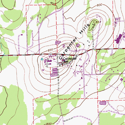 Topographic Map of Carpenter Hills, TX