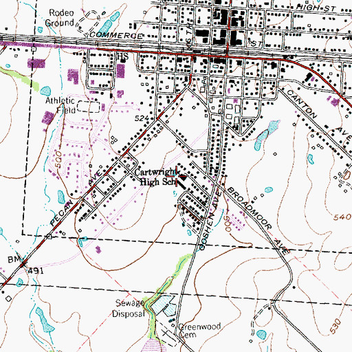 Topographic Map of Cartwright High School, TX