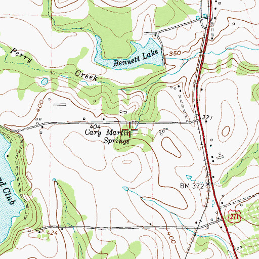Topographic Map of Cary Martin Springs, TX