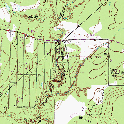 Topographic Map of Casey Ridge, TX