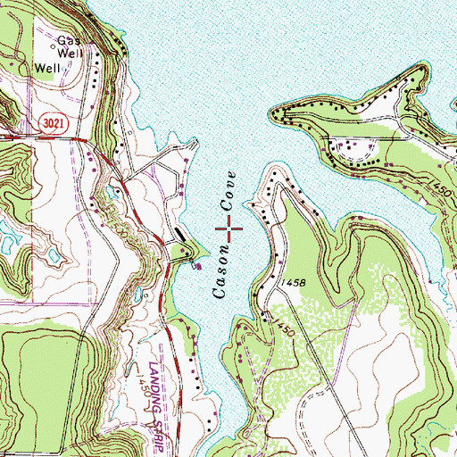 Topographic Map of Cason Cove, TX