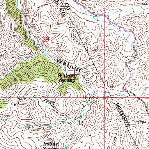 Topographic Map of Walnut Spring, AZ