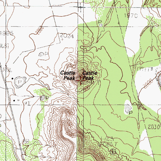 Topographic Map of Castle Peak, TX
