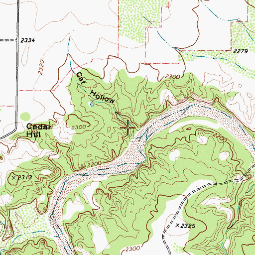 Topographic Map of Cat Hollow, TX