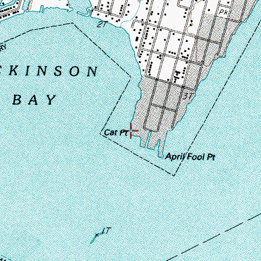 Topographic Map of Cat Point, TX