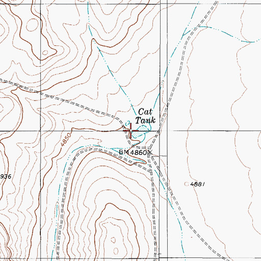 Topographic Map of Cat Tank, TX