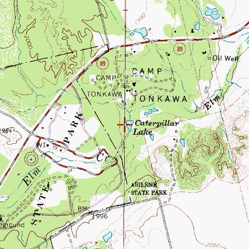 Topographic Map of Caterpillar Lake, TX