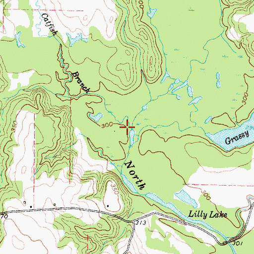 Topographic Map of Catfish Branch, TX